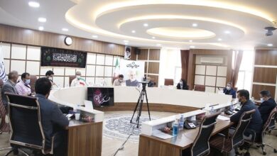 در نشست عمومی شورای اسلامی شهر کرمان عنوان شد