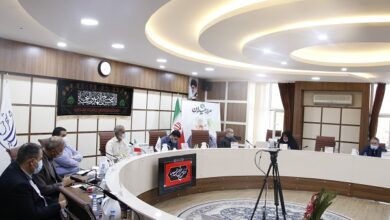 ساماندهی سدمعبر، انجمن حمایت از حیوانات،بازآفرینی میدان ارگ، احیای مرکز پژوهش های شورا